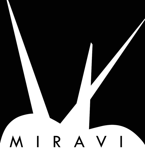 Grupo Miravi
